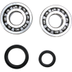 Set rulmenti arbore cotit ProX pentru SUZUKI Set rulmenti arbore cotit ProX pentru SUZUKI thumb