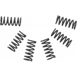 Kit arcuri pentru ambreiaj EBC CSK002