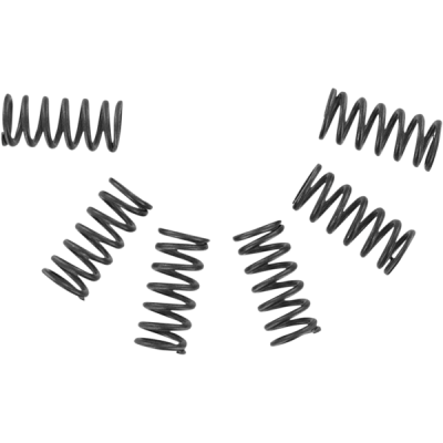 Kit arcuri pentru ambreiaj EBC CSK002