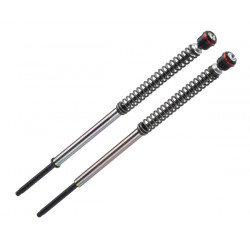 Casete pentru furci BITUBO FRT SHOCKS H-D SOFTAIL Casete pentru furci BITUBO FRT SHOCKS H-D SOFTAIL