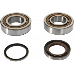 Set rulmenti arbore cotit ProX pentru KTM Set rulmenti arbore cotit ProX pentru KTM