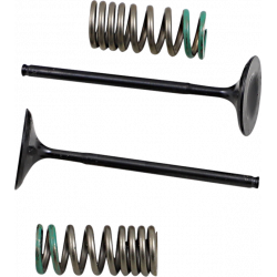 Set supapa de admisie si arc ProX pentru HONDA Set supapa de admisie si arc ProX pentru HONDA