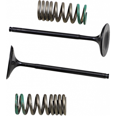 Set supapa de admisie si arc ProX pentru HONDA