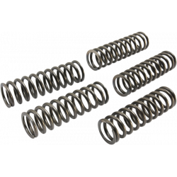 Kit arcuri pentru ambreiaj EBC CSK223