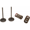 Set supapa de admisie si arc ProX pentru KAWASAKI KX250F/ SUZUKI RMZ250