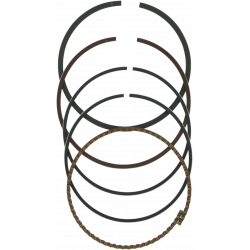 Segmente WISECO RING SET TRX 300 EX 08