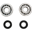 Set rulmenti arbore cotit ProX pentru KTM Set rulmenti arbore cotit ProX pentru KTM thumb