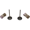 Kit valve si arcuri evacuare KX250F 09-10 thumb