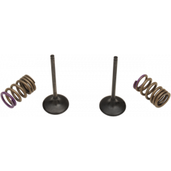 Kit valve si arcuri evacuare KX250F 09-10 Kit valve si arcuri evacuare KX250F 09-10