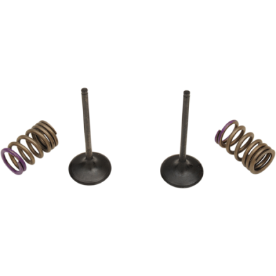 Kit valve si arcuri evacuare KX250F 09-10