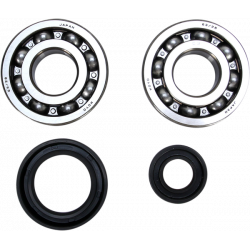 Set rulment arbore cotit ProX pentru HONDA