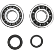 Set rulmenti arbore cotit ProX pentru SUZUKI Set rulmenti arbore cotit ProX pentru SUZUKI thumb