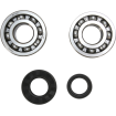 Set rulment arbore cotit ProX pentru SUZUKI Set rulment arbore cotit ProX pentru SUZUKI thumb