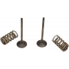 Set evacuare si arc ProX pentru SUZUKI RM-Z250