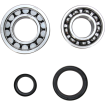 Set rulmenti arbore cotit ProX pentru KTM Set rulmenti arbore cotit ProX pentru KTM thumb