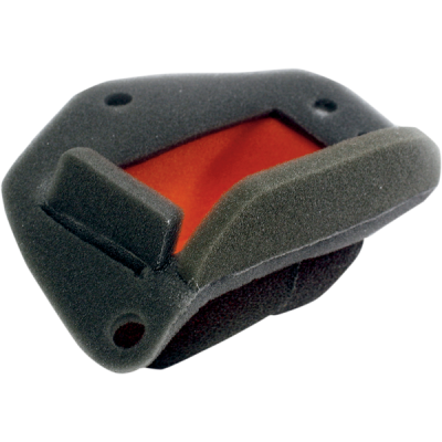 Filtru de aer sport TWIN AIR pentru BMW Filtru de aer sport TWIN AIR pentru BMW
