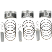 Kit piston WISECO PISTON KIT YAMAHA RS RAGE 1000 07 thumb