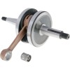 Arbore cotit 101 OCTANE IP32387