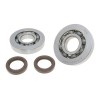 Set rulmenți pentru arbore cotit 101 OCTANE 32593