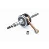 Arbore cotit 101 OCTANE IP34883