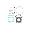 Set garnituri cilindru YAM XMAX 1 101 OCTANE IP35909