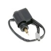 Suflantă electrică 101 OCTANE 24339 Suflantă electrică 101 OCTANE 24339 thumb