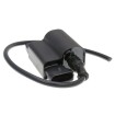 Bloc CDI cu bobină de aprindere 101 OCTANE 25764 Bloc CDI cu bobină de aprindere 101 OCTANE 25764 thumb