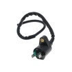 Bobină de aprindere 101 OCTANE IP32532 Bobină de aprindere 101 OCTANE IP32532 thumb