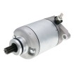 Motor de pornire 101 OCTANE IP33161 Motor de pornire 101 OCTANE IP33161 thumb