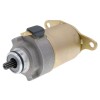 Motor de pornire 101 OCTANE IP33169