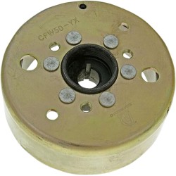 Rotor alternator 101 OCTANE KW20957 Rotor alternator 101 OCTANE KW20957