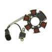 Stator alternator 101 OCTANE 19007 Stator alternator 101 OCTANE 19007 thumb