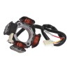 Stator alternator 101 OCTANE IP39261