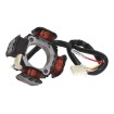 Stator alternator 101 OCTANE IP39261 Stator alternator 101 OCTANE IP39261 thumb