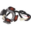 Stator alternator 101 OCTANE IP39261 Stator alternator 101 OCTANE IP39261 thumb