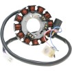 Stator alternator 101 OCTANE 36570 thumb