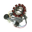 Stator alternator 101 OCTANE 28010 Stator alternator 101 OCTANE 28010 thumb