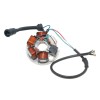 Stator alternator 101 OCTANE IP35648