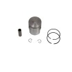 Piston MIN AM6 AIRSAL 061313403 Piston MIN AM6 AIRSAL 061313403 thumb