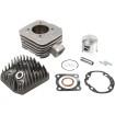 Set cilindru PEU BUXY AIRSAL 01022046 Set cilindru PEU BUXY AIRSAL 01022046 thumb