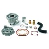 Set cilindru PEU SPFIGHT AIRSAL 010231476