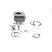 Set cilindru 49cc AIRSAL 02061340 Set cilindru 49cc AIRSAL 02061340 thumb