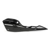 Scut termic carbon AKRAPOVIC P-HSS10SO3