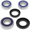 Set rulment spate și etanșare HONDA ALL BALLS 25-1257 Set rulment spate și etanșare HONDA ALL BALLS 25-1257 thumb