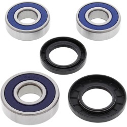 Set rulment spate și etanșare HONDA ALL BALLS 25-1257