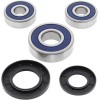 Set butuc spate și garnituri SUZUKI/YAMAHA ALL BALLS 25-1344