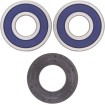 Set bucșă de rulment spate și etanșare KAWASAKI ALL BALLS 25-1353 Set bucșă de rulment spate și etanșare KAWASAKI ALL BALLS 25-1353 thumb