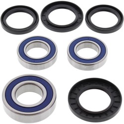 Set rulment și etanșare spate SUZUKI spate ALL BALLS 25-1392