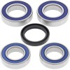 Set rulment și etanșare spate DUCATI ALL BALLS 25-1668