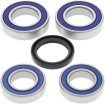 Set rulment și etanșare spate DUCATI ALL BALLS 25-1668 Set rulment și etanșare spate DUCATI ALL BALLS 25-1668 thumb